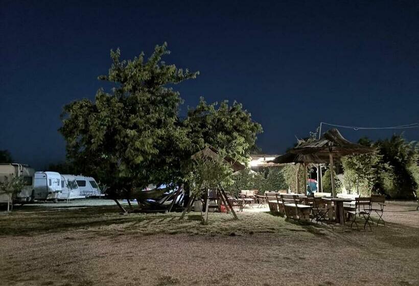 غرفة قياسية رباعية, Marina Park