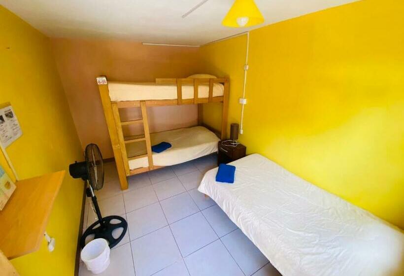 Quarto Triplo Estandar, Atenas Backpacker Hospedaje