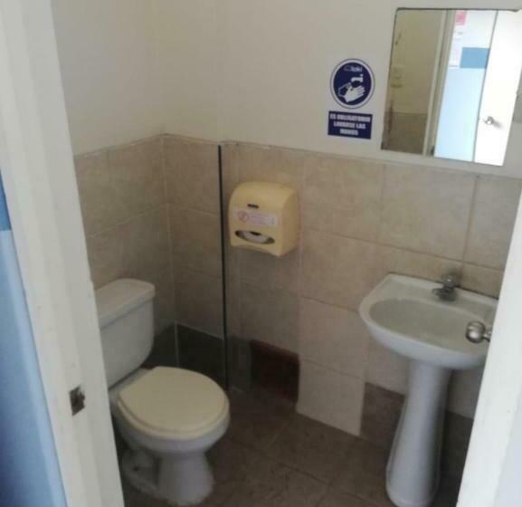 Quarto Estandar, Loki Del Mar