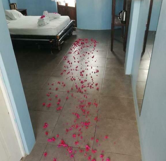 Quarto Estandar, Loki Del Mar