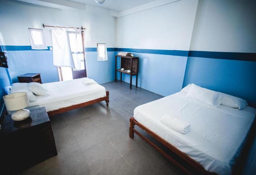 Quarto Estandar, Loki Del Mar