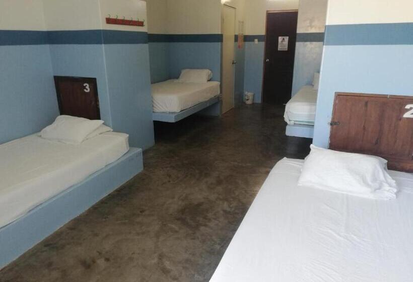 Quarto Estandar, Loki Del Mar