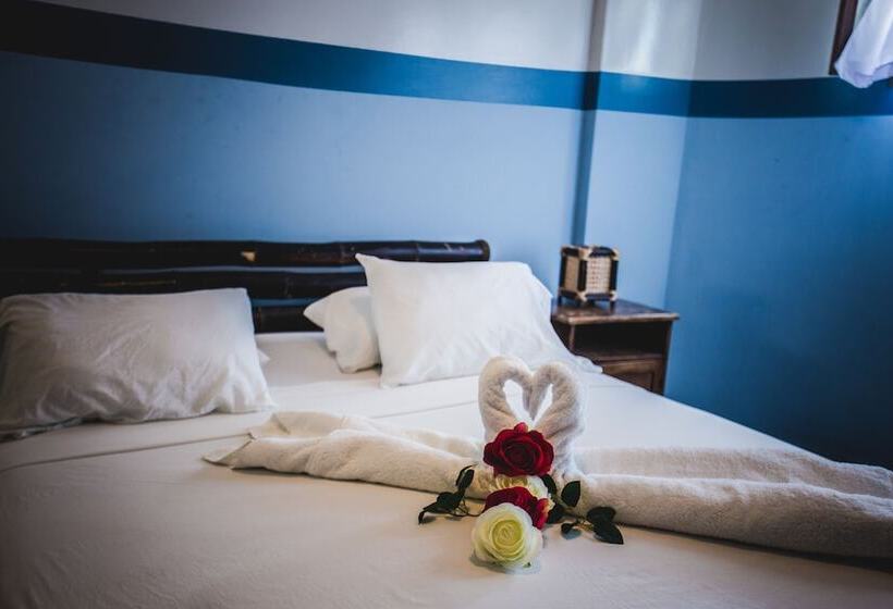 Quarto Estandar, Loki Del Mar