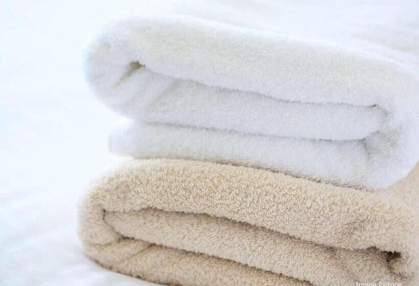 Çift Kişilik Yataklı Basic Oda, Apa Hotel Kamataeki Higashi