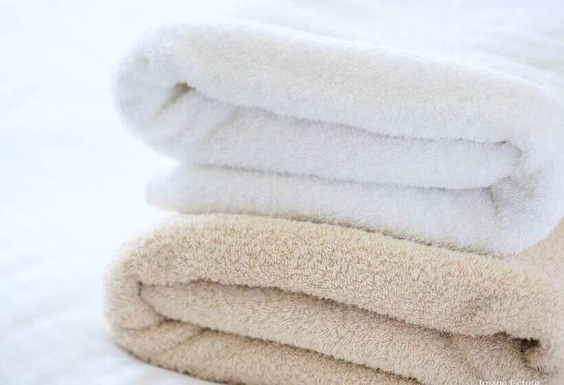 Standart Tek Kişilik Oda, Apa Hotel Kamataeki Higashi