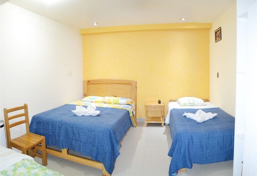 Номер Стандарт, Ejecutivo San Diego