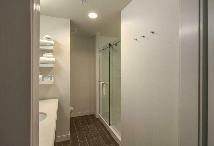 Номер Стандарт Кровать Кинг Адаптированный для Инвалидов, Hampton Inn Crestview South  I10