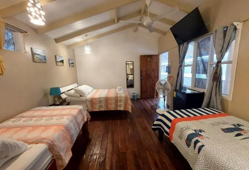 Basic Kolmen Hengen Huone, M&m Beach House