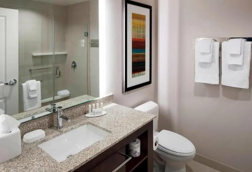 Sviitti King-vuode, Residence Inn By Marriott Dallas Plano/richardson