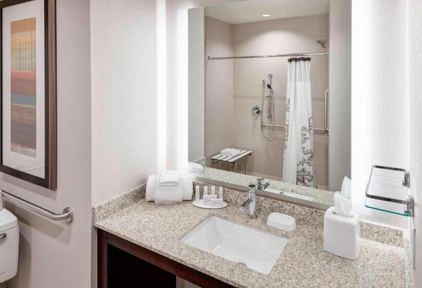 Люкс Кровать Кинг, Residence Inn By Marriott Dallas Plano/richardson
