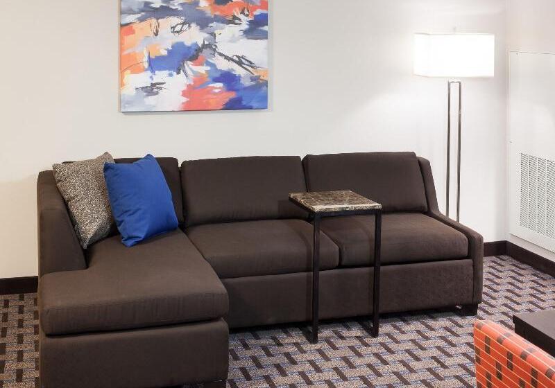 جناح سرير كينج, Residence Inn By Marriott Dallas Plano/richardson