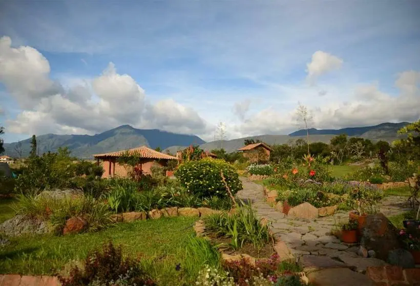 بانگلوی استاندارد, Mawasi Finca