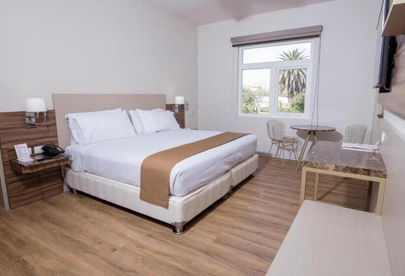 Люкс, Dm Hoteles Tacna