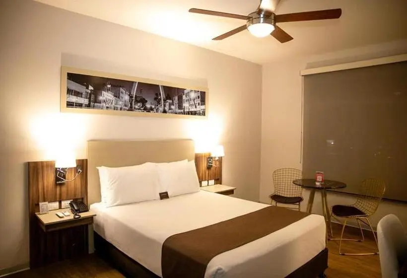 スタンダードシングルルーム, Dm Hoteles Tacna