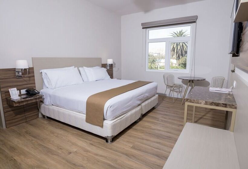 Люкс, Dm Hoteles Tacna