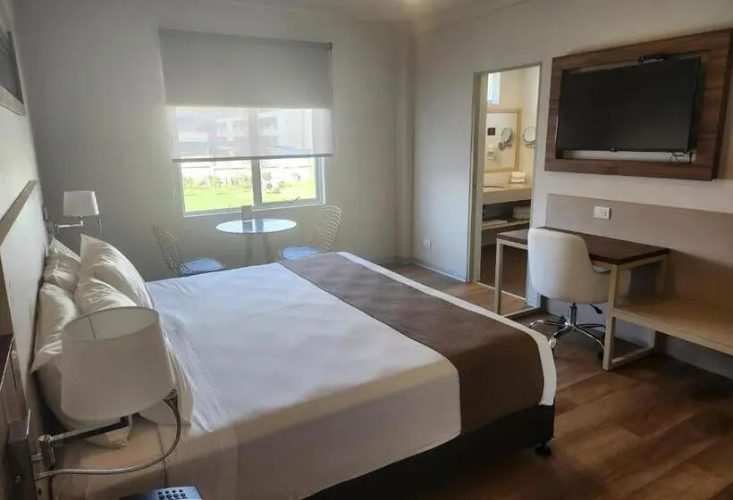 スタンダードシングルルーム, Dm Hoteles Tacna