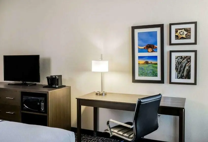 Standard-huone King-vuode, La Quinta By Wyndham Houston Cypress
