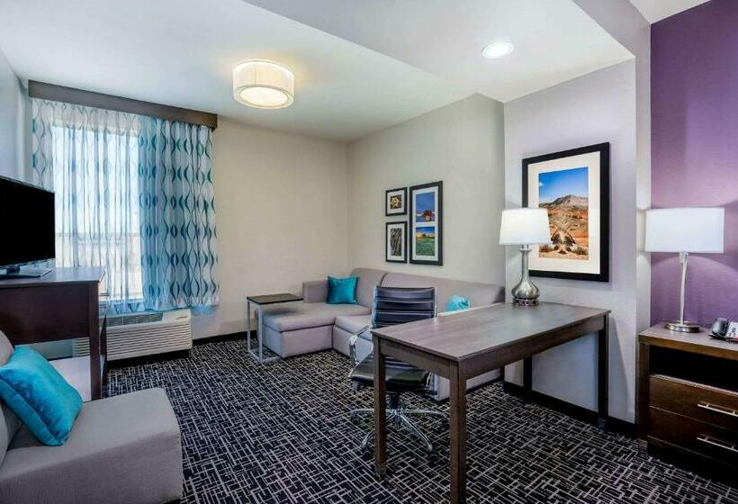 이그제큐티브 룸 킹사이즈 침대, La Quinta By Wyndham Houston Cypress