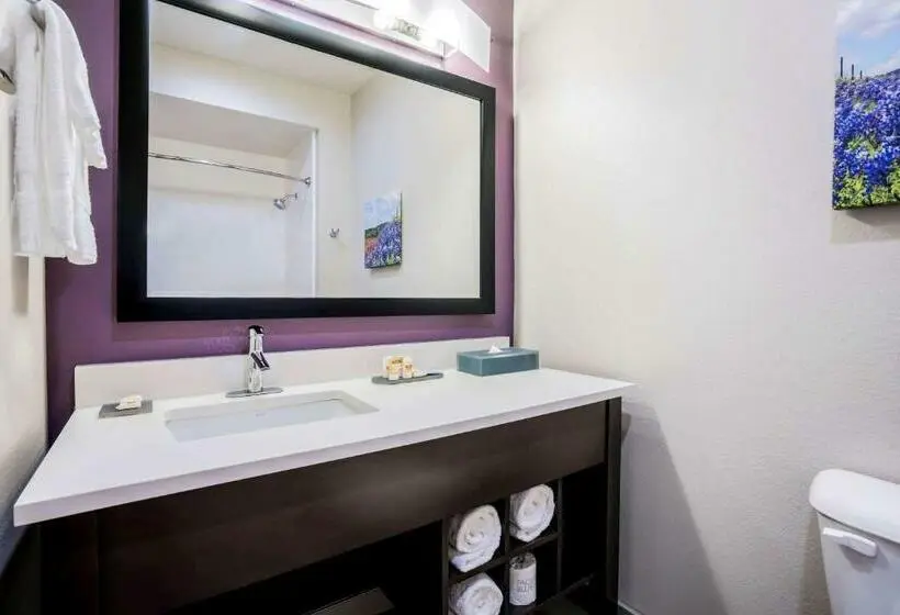Standard-invahuone, La Quinta By Wyndham Houston Cypress