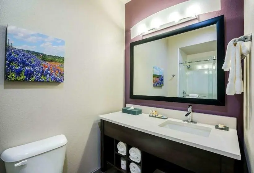 Executive-huone King-vuode, La Quinta By Wyndham Houston Cypress