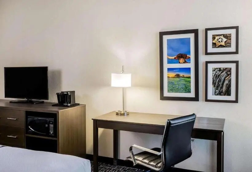Standard-invahuone King-vuode, La Quinta By Wyndham Houston Cypress