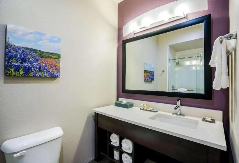 Deluxe-huone Soveltuu Liikuntarajoitteisille, La Quinta By Wyndham Houston Cypress