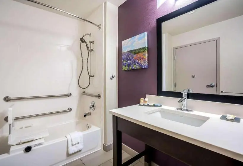 Deluxe-huone Soveltuu Liikuntarajoitteisille, La Quinta By Wyndham Houston Cypress