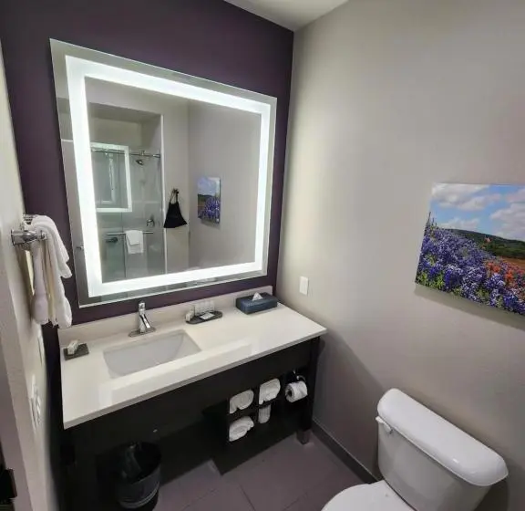 Standard-huone King-vuode, La Quinta By Wyndham Houston Cypress