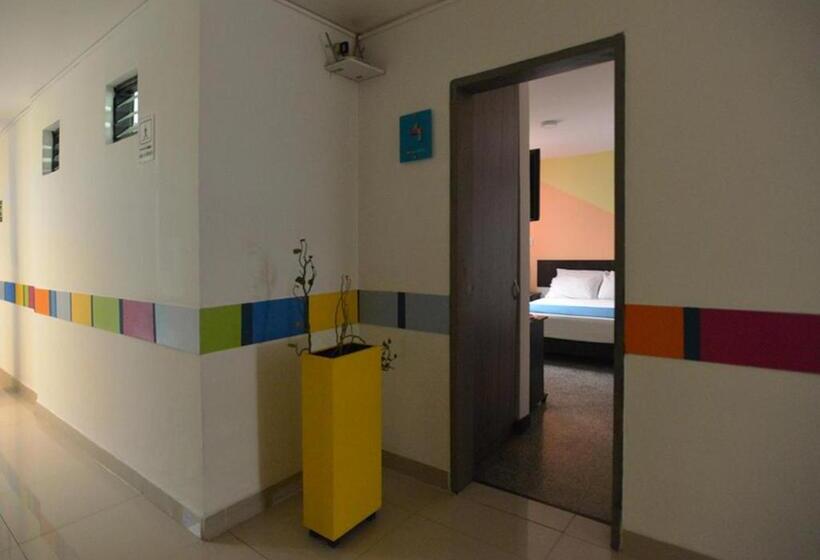 اتاق استاندارد, San Fermin Pereira