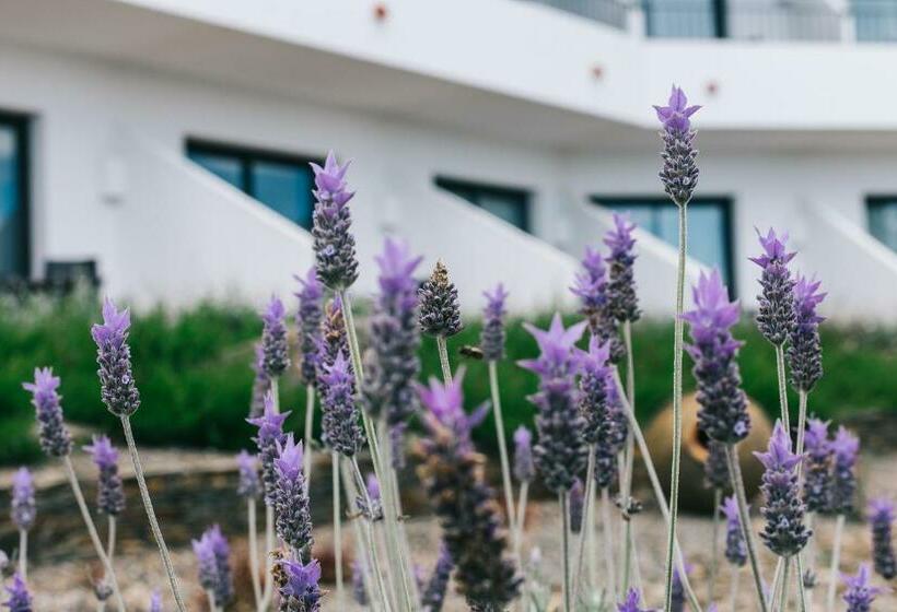 스탠다드 룸 가든 전망, Sol Ixent Adults Only