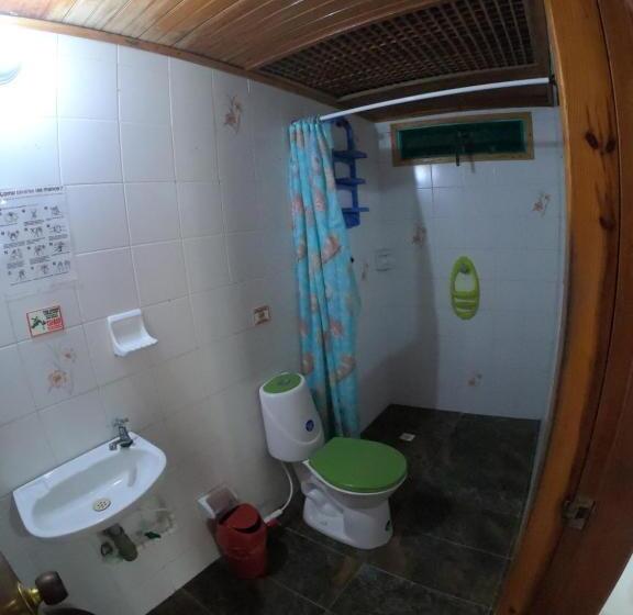 اتاق استاندارد چهار تخته, The Rock House Eco