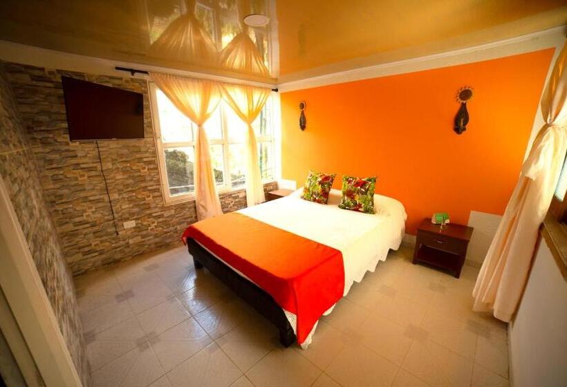 스탠다드 싱글 룸, Eco Hotel Las Palmas