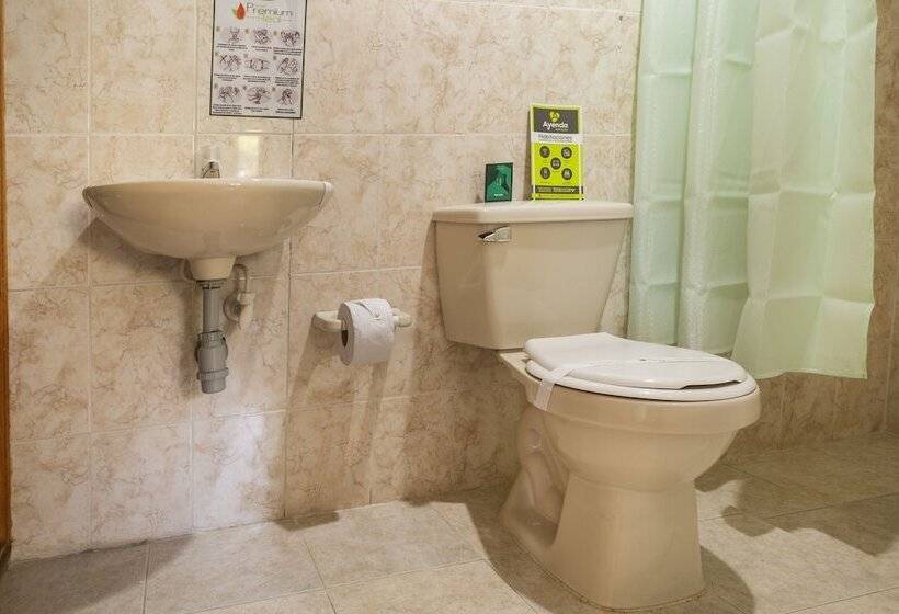 Номер Superior, Ayenda 1257 Premium Real