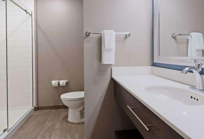 带大床的套房, Spark By Hilton Erie