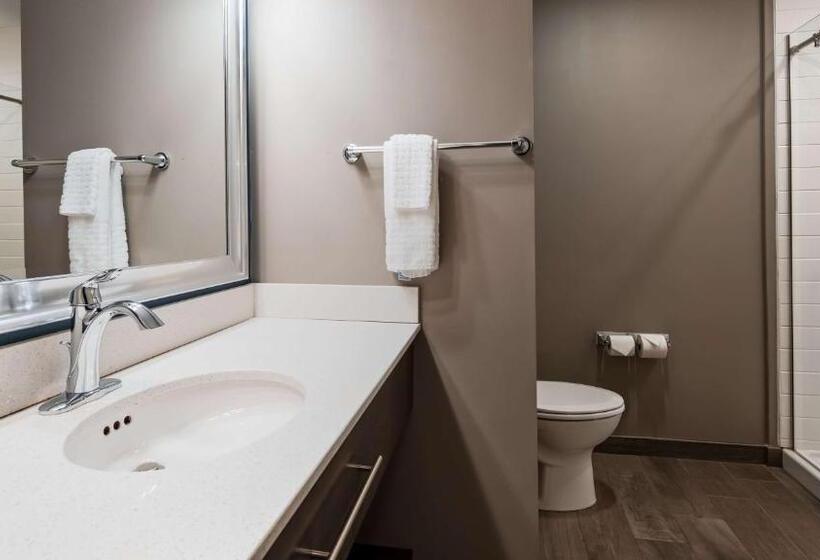 适合残疾人士使用的带超级大床的标准间, Spark By Hilton Erie