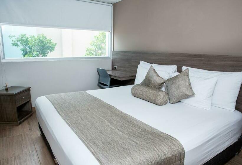 스탠다드 룸 킹사이즈 침대, Betania