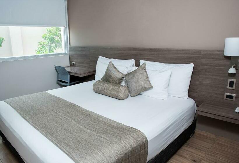 스탠다드 룸 킹사이즈 침대, Betania