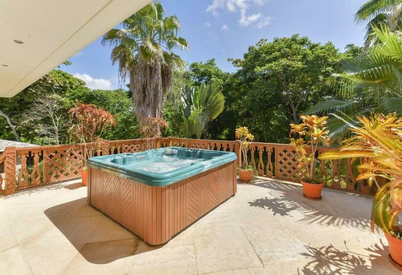 Люкс, Casa Las Palmas Hotel Boutique