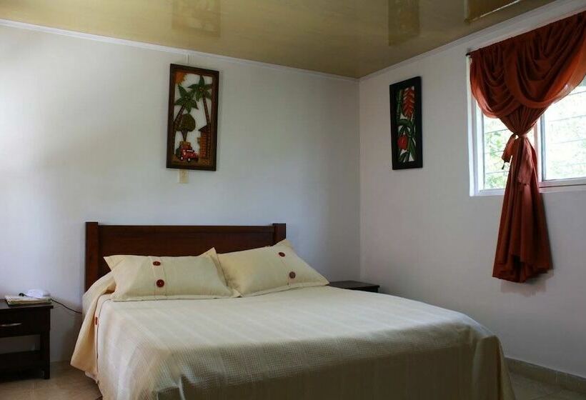 Номер Стандарт Индивидуальный, Eco Hotel Las Palmas