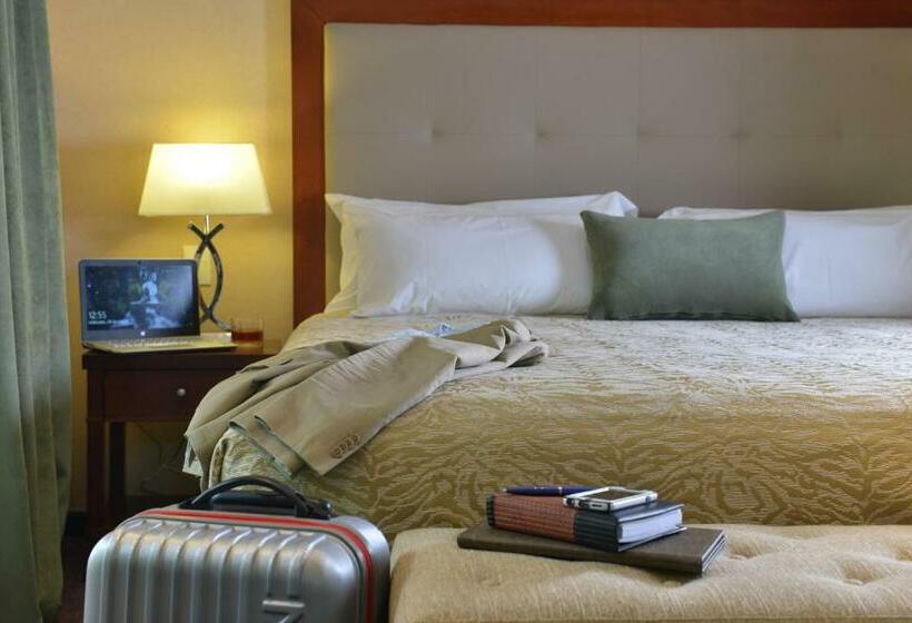 컴포트 룸, Falls Iguazú Hotel & Spa