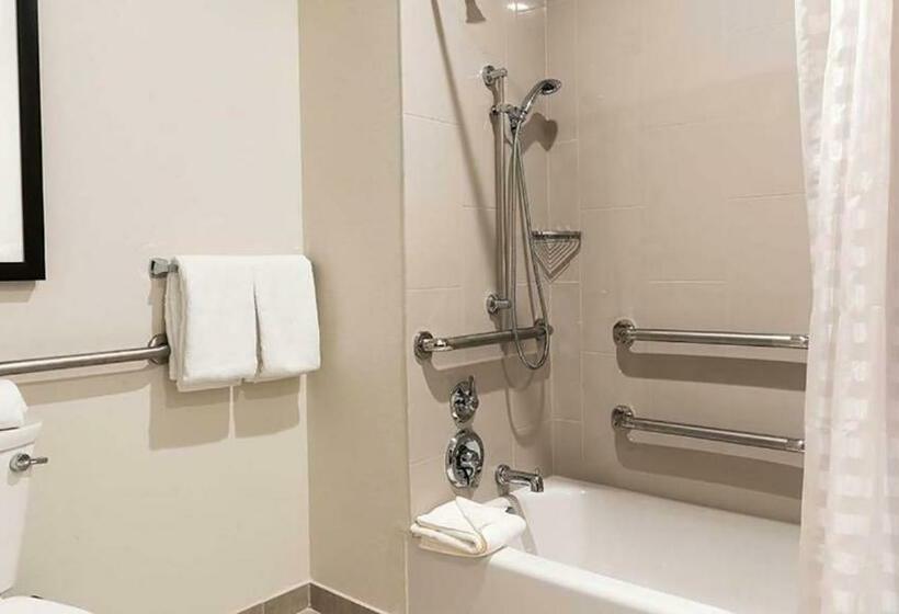 غرفة قياسية سرير كينج لذوى الإحتياجات الخاصة, Hyatt House Austin/downtown