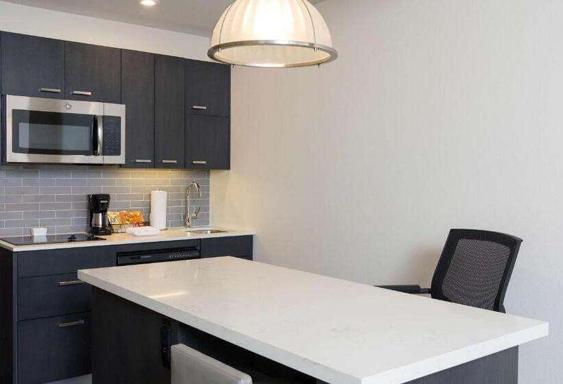 إستوديو قياسى سرير كينج, Hyatt House Austin/downtown