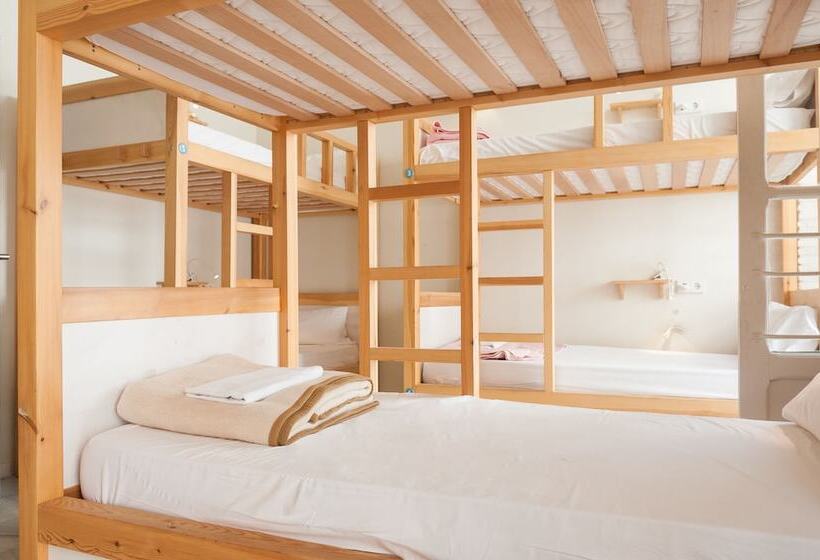 تختخواب در اتاق مشترک, The Nomad Hostel&pension