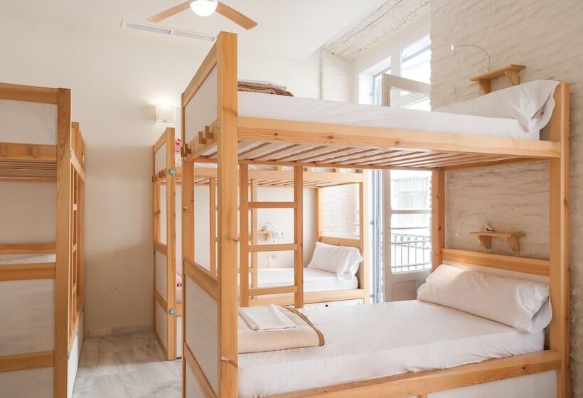 تختخواب در اتاق مشترک, The Nomad Hostel&pension