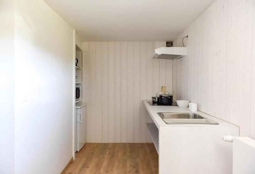 إستوديو قياسى, D'un Jour à L'autre