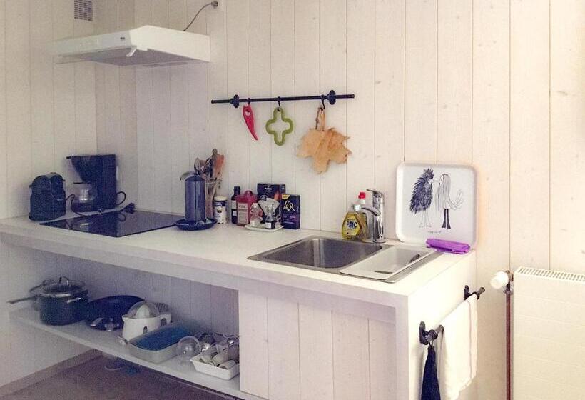 إستوديو قياسى, D'un Jour à L'autre