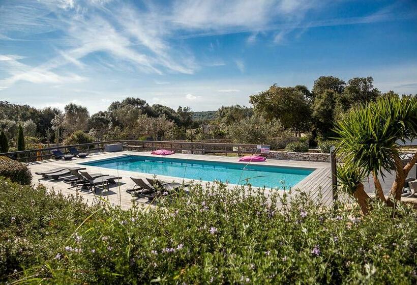 Номер Стандарт Вид на Сад, L Albitru