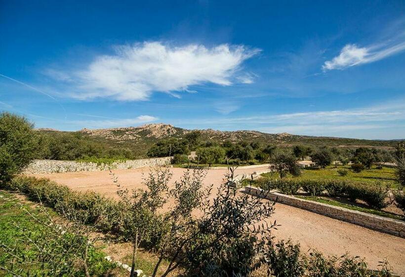 Номер Стандарт Вид на Сад, L Albitru