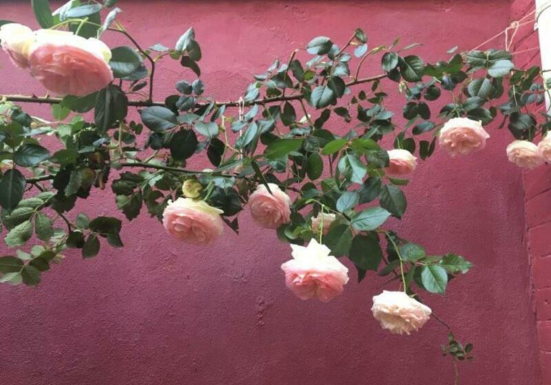 Chambre Standard, La Maison Rouge