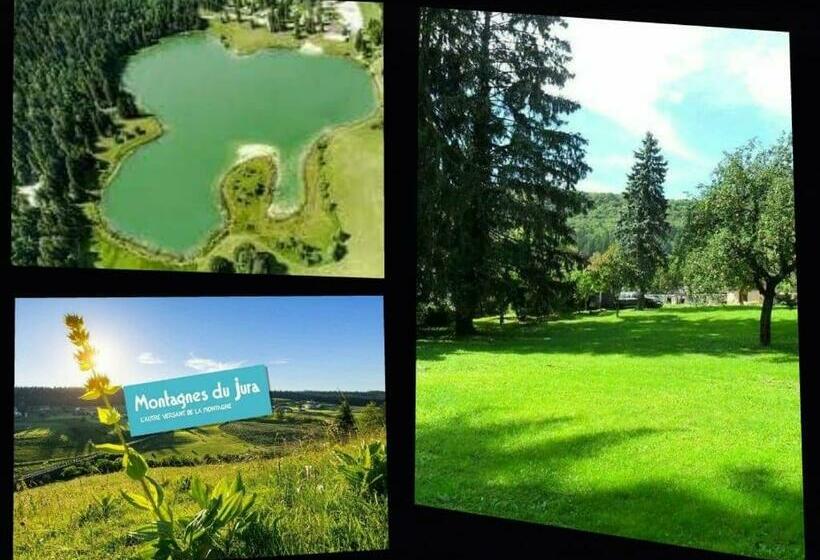 غرفة قياسية, A La Grenouille Du Jura